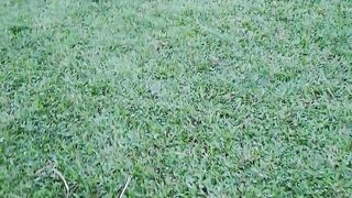 Penalty kik For kids, gool