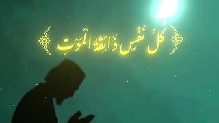 فيديوهات شورت قران (13)