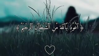 فيديوهات شورت قران (15)