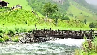 Pakistan 74