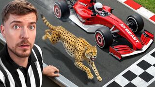 Worlds Fastest Car vs Cheetah  Mr Beast Part 3