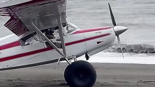 Plan crash