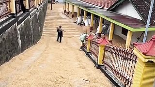 berniat baik malah gak baik niat ingin jemur padi tapi malah?
