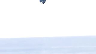Show of dolfin first