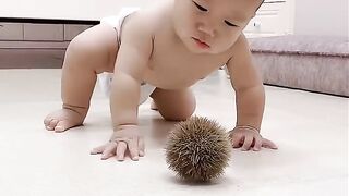 Fun   masti    FunVideo  funnyreels 250