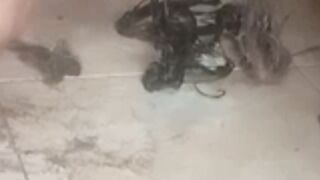 Scraping coper wire