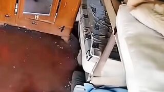 Fun   masti    FunVideo  funnyreels 260