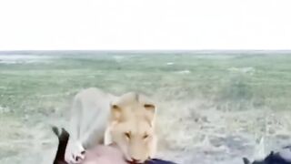 Fun   masti    FunVideo  funnyreels 262