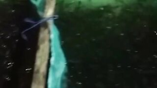 Tanpa alat ini, panen ikan lele gak lancar