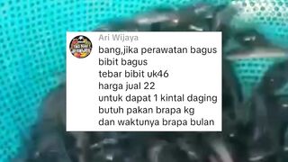 Jangan terpaku ke hitungan estimasi, yang pasti itu nanti hasil panen