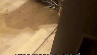 Persahabatan Tak Biasa