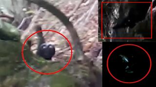 5 Mysterious Creatures Caught On Camera 2