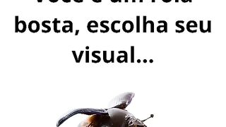 você é um rola bosta