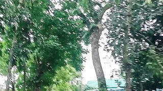Jiboner golpo