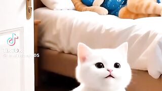 So cute cate baby