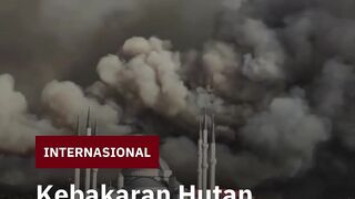 Kebakaran Hutan Çanakkale Ancam Permukiman, Ratusan Warga Dievakuasi