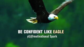 Be confident like an eagle shorts motivation quotes attitude lion