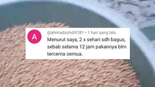 Menurut saya ngasih makan lele itu cukup sehari 2 kali saja