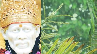 Sai Baba Miracles