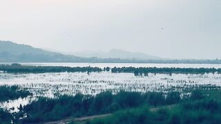 Kallar Kahar Jheel Beautiful Tourist Destination of Pakistan  Travel To Kallar Kahar Takht e babar view