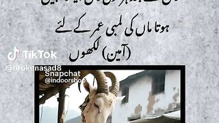 Online Earning app 2025 426