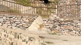 سعودی عرب میں طائف کا وہ مقام جہاں حضور پر پتھر برسائے گئے