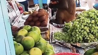 Funny Monkey 9
