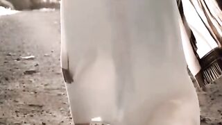 mekkawi