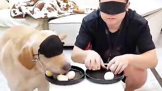 Fun   masti    FunVideo  funnyreels 266