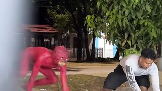 Try Not to Laugh   Funniest Moments on Feb Spot! 4