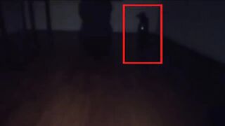 Strange creature in the house captured on camera - Scary Videos