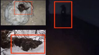 Top 5 Creepy mystical creatures captured on camera