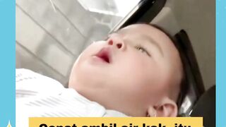 Kucing garong Bayi garing