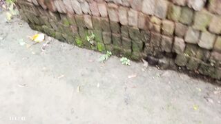 The Monetizeonsn flower and my pet