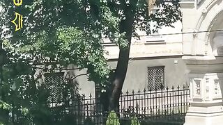 БАЛКАНСКИ ЕНТЪРТЕЙМЪНТ