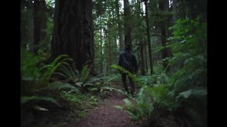Train Dreams - Official Teaser -