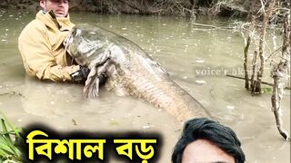 Giant Sea Fish Caught  Thrilling Moment