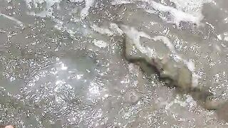 Sea Beach 2