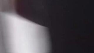 Donkey Meat Farm Discovered in Tarnol, Pakistan Islamabad Authorities Seize 1000kg in Shocking Raid