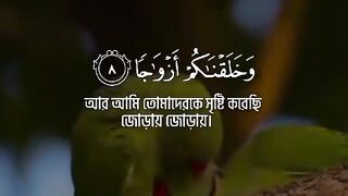 holy Quran islamic Reels