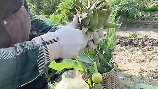 The Secret to a Thriving Vegetable Garden