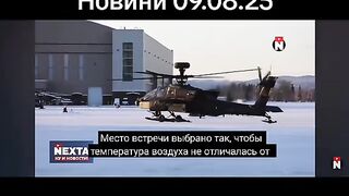 НЕКСТА 31