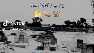 Online Earning app 2025 446