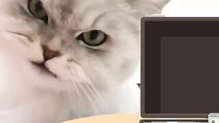 If TV shows were realistic