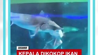 hampir saja