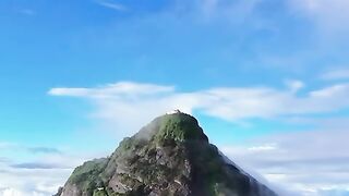 Natures 3