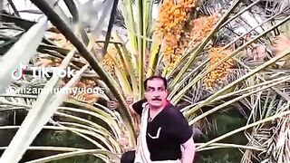 Funny video
