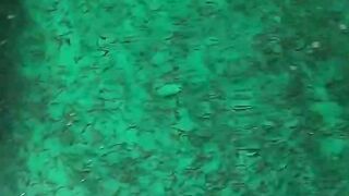 Budidaya lele sistem kocor dan aerator