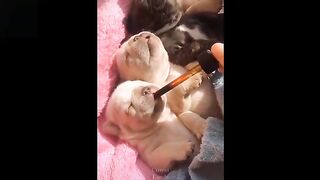Cute And Funny