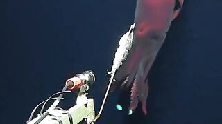 Кальмар с фарами атаковал подводную видеокамеру на глубине свыше одного км